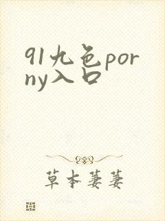 91九色porny入口