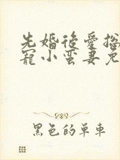 先婚后爱总裁娇宠小蛮妻免费阅读