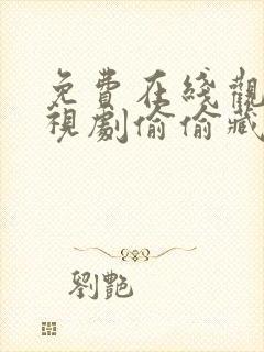 免费在线观看电视剧偷偷藏不住封面