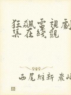 狂飙电视剧40集在线观