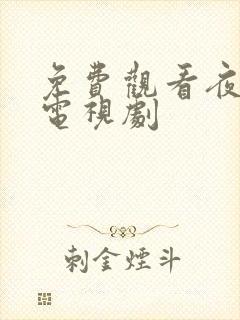 免费观看夜城赋电视剧