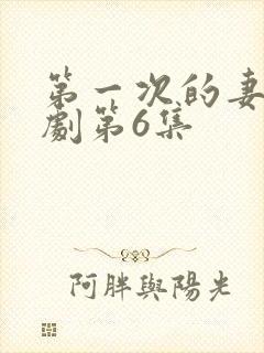 第一次的妻子番剧第6集封面