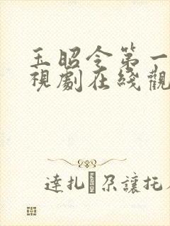 玉昭令第一季电视剧在线观看免费谍战迷