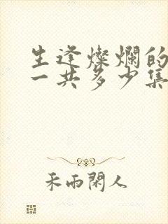 生逢灿烂的日子一共多少集