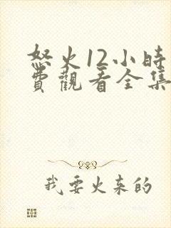 怒火12小时免费观看全集