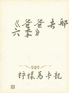 《爸爸去哪儿第六季》