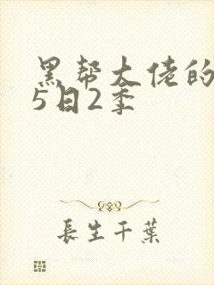 黑帮大佬的365日2季