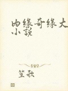 内缘奇缘大团圆小说