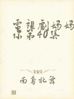 电视剧妈妈在等你第40集