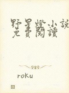 野星灯小说全文免费阅读