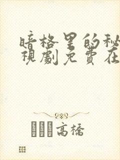 暗格里的秘密电视剧免费在线观看