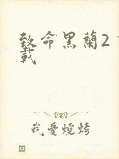 致命黑兰2 下载