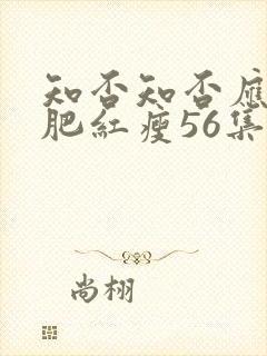 知否知否应是绿肥红瘦56集在线观看