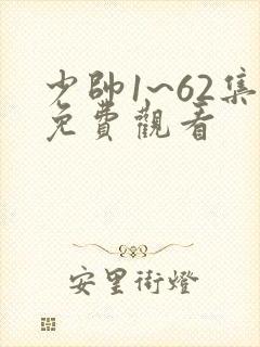 少帅1~62集免费观看