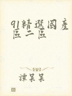 91精选国产一区二区