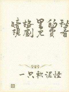 暗格里的秘密电视剧免费看完整版封面