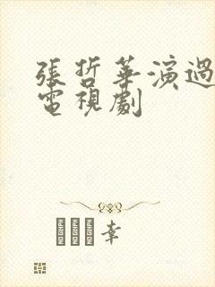 张哲华演过哪些电视剧