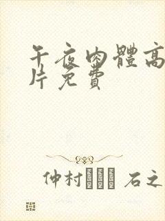 午夜肉体高潮毛片免费