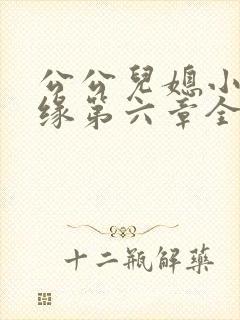 公公儿媳小说孽缘第六章全文阅读免费