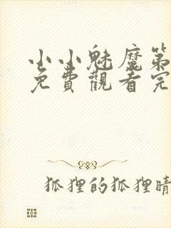 小小魅魔第一季免费观看完整版高清