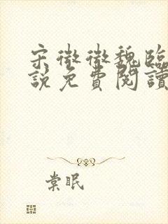 宋微微魏临沉小说免费阅读最新章节