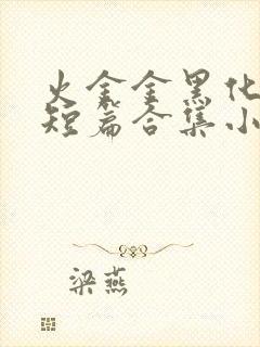 火金金黑化病娇短篇合集小说封面