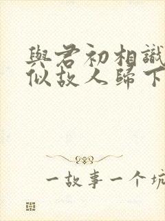 与君初相识,恰似故人归下一句