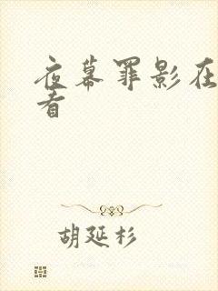 夜幕罪影在线观看