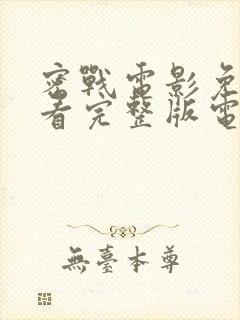 密战电影免费观看完整版电视剧封面