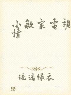 小敏家电视剧剧情封面