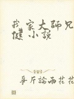 我家大师兄太稳健 小说封面