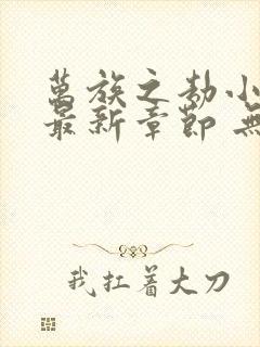 万族之劫小说 最新章节 无弹窗封面