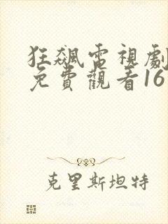 狂飙电视剧全集免费观看16集