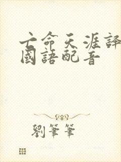 亡命天涯译制片国语配音