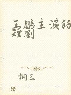 王鹏主演的所有短剧