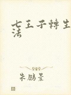 七王子转生之魔法封面