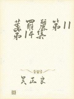 叶罗丽第11季第14集