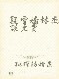 段雪娇林杰的小说免费