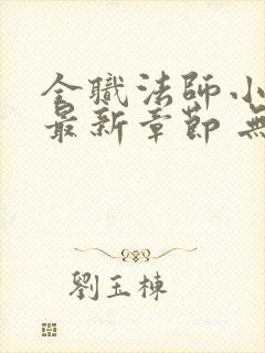 全职法师小说 最新章节 无弹窗封面