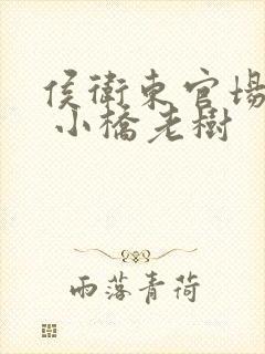 侯卫东官场笔记 小桥老树