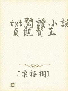 txt阅读小说贞观贤王
