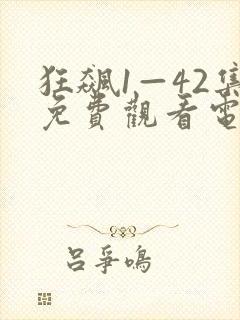 狂飙1—42集免费观看电视剧在线