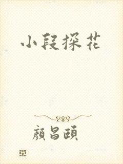 小段探花封面
