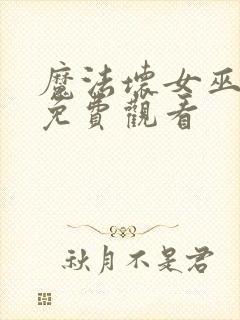 魔法坏女巫高清免费观看