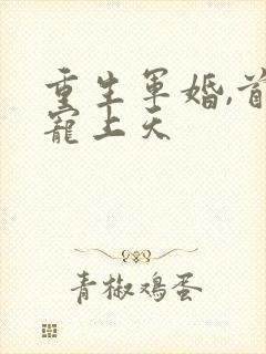 重生军婚,首长宠上天