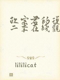 政宗君的复仇第二季在线观看封面