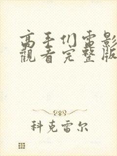 高手们电影免费观看完整版