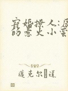 宠婚撩人:辰少的惹火小蛮妻