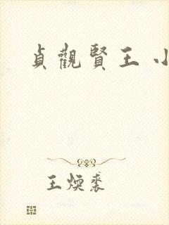 贞观贤王 小说封面