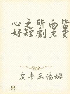 心之所向皆是美好短剧免费观看